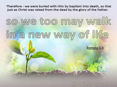 Romans 6:4 That We Too May Walk In Newness Of Life (pink)